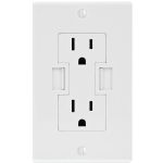 Newer Tech Pwr 2u 15a Wall Outlt Wht