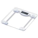 Taylor Digital Glass Scale