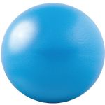 Gofit 20cm Core Ab Ball