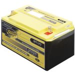 Stinger 1050 Amp Battery