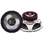 Pyramid 10'' 500-watt Subwoofer