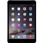 Apple -MH3E2LL/A 16GB iPad mini 3