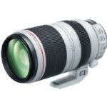 Canon EF 100-400mm f/4.5-5.6L IS II USM Lens Retail Kit